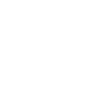 WH MEDICAL